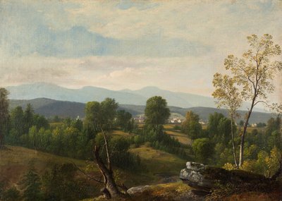 Een uitzicht op de vallei door Asher Brown Durand